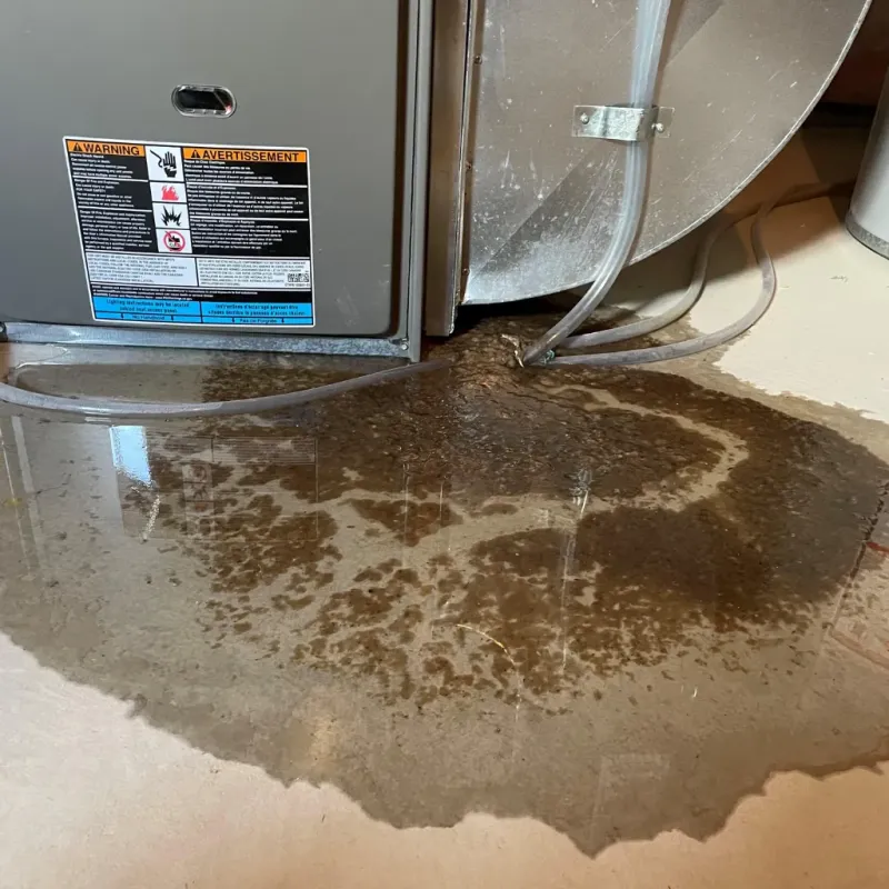 Appliance Leak Cleanup in Bartholomew County, IN